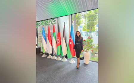 Beynəlxalq əməkdaşlıqlar davamlı xarakter daşımalıdır – Qənirə Məmmədzadə