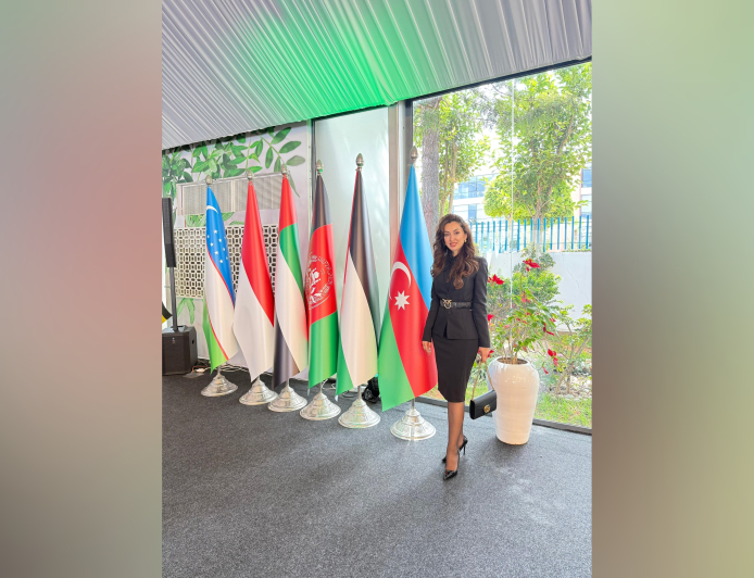 Beynəlxalq əməkdaşlıqlar davamlı xarakter daşımalıdır