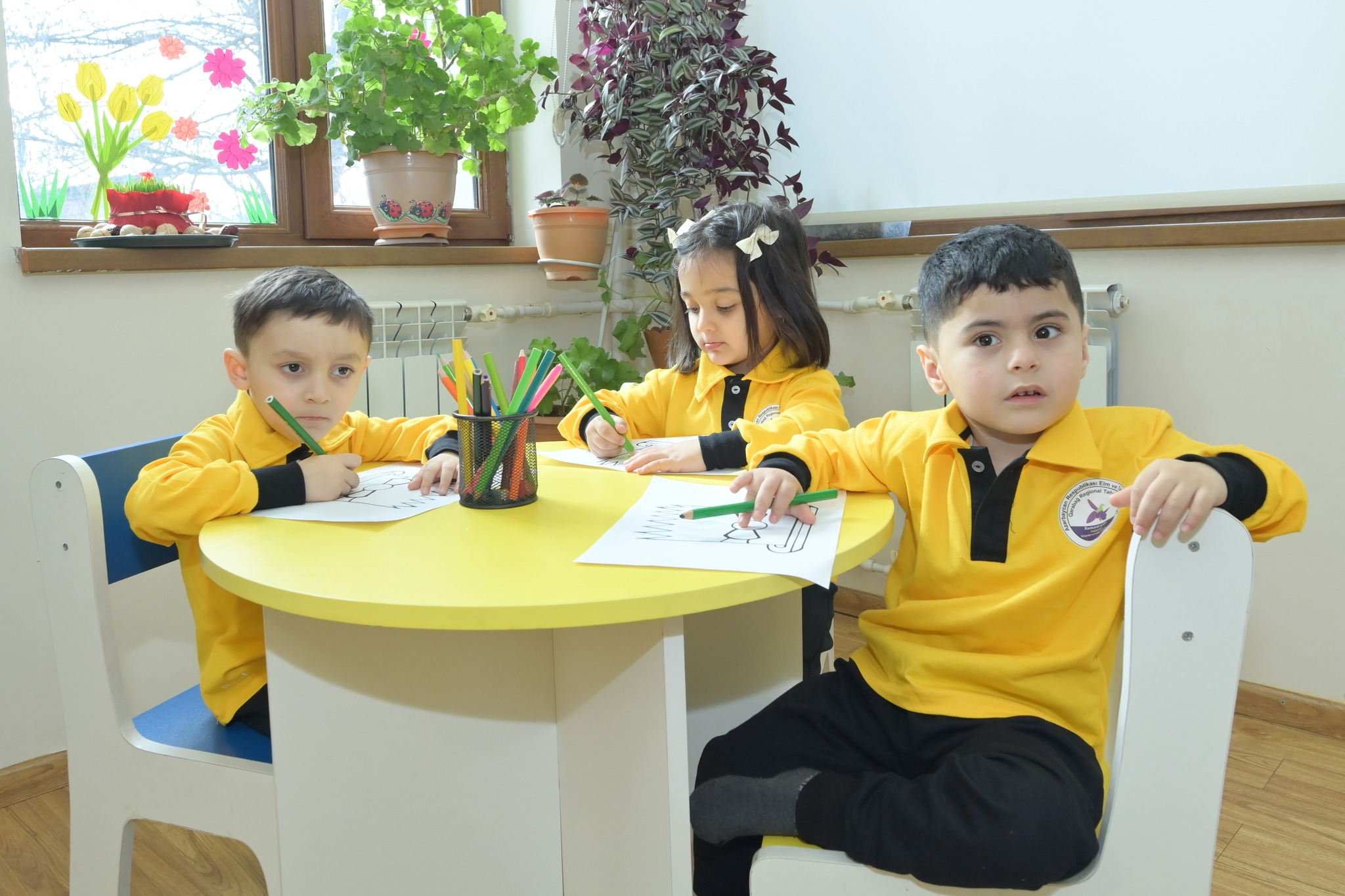 Bu hal bağçaya qəbulda imtiyaz kimi nəzərə alınsın
