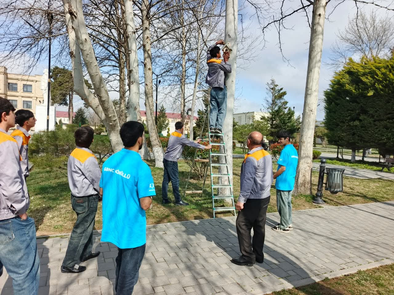 Biləsuvarda məktəblilər quşlar üçün evciklər hazırladılar 