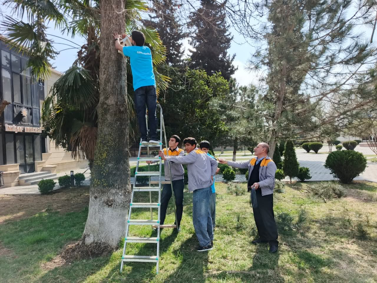 Biləsuvarda məktəblilər quşlar üçün evciklər hazırladılar 