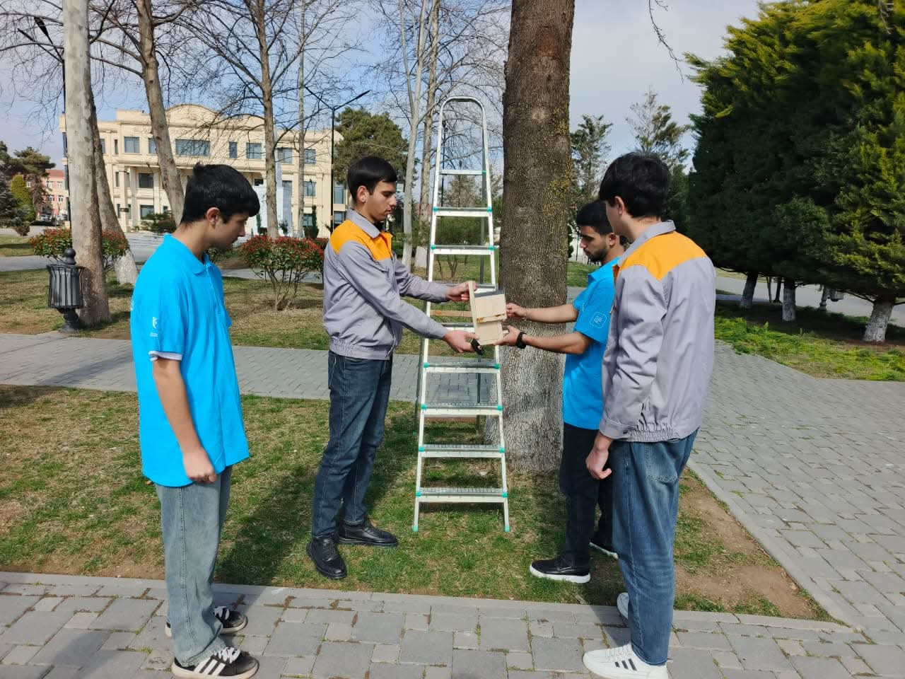 Biləsuvarda məktəblilər quşlar üçün evciklər hazırladılar 