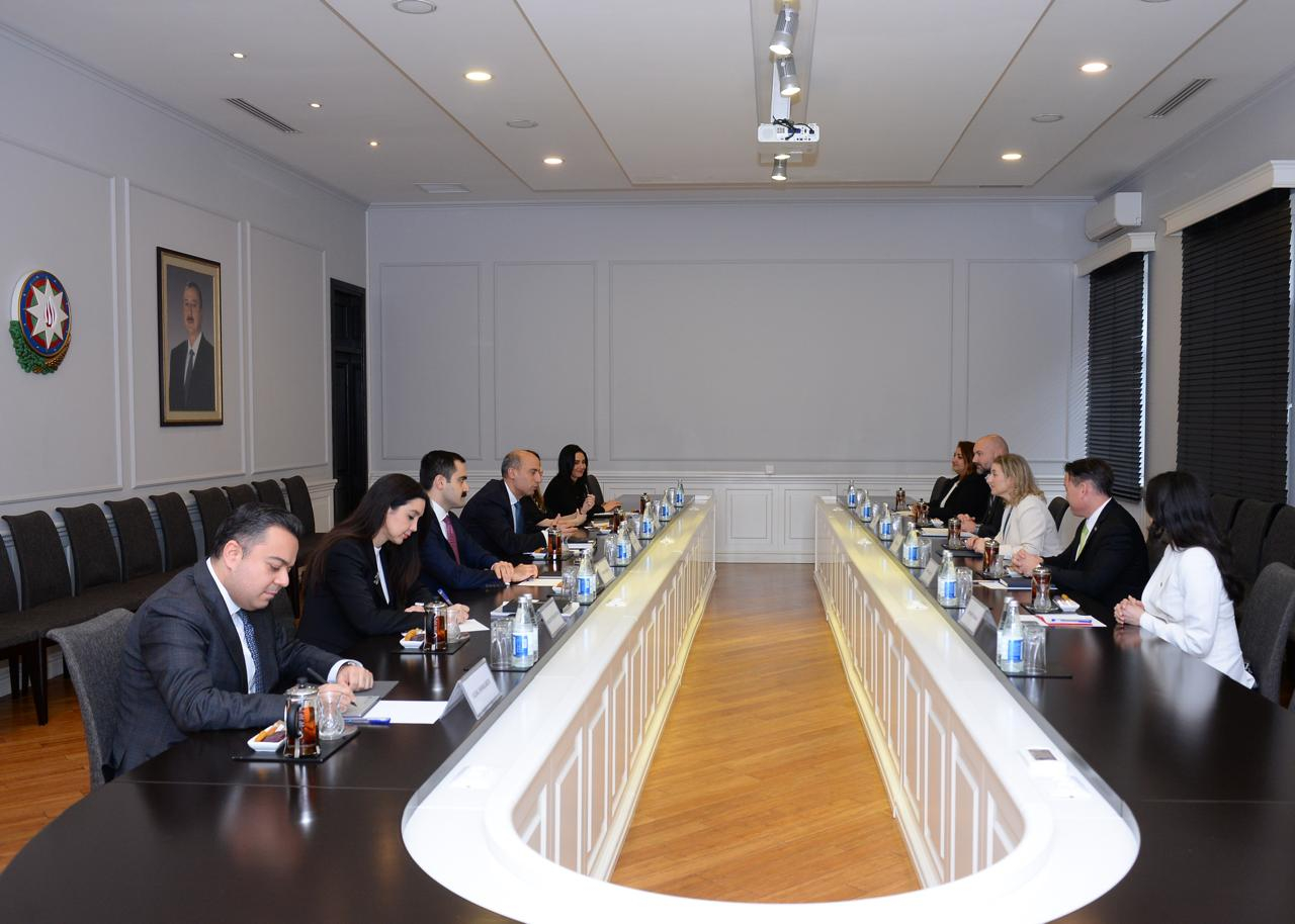 Emin Əmrullayev ABŞ-nin ölkəmizdəki müvəqqəti işlər vəkili ilə görüşüb