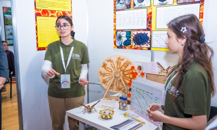 Arıları qorumaq üçün qaraçörəkotu ilə tədqiqat apardılar