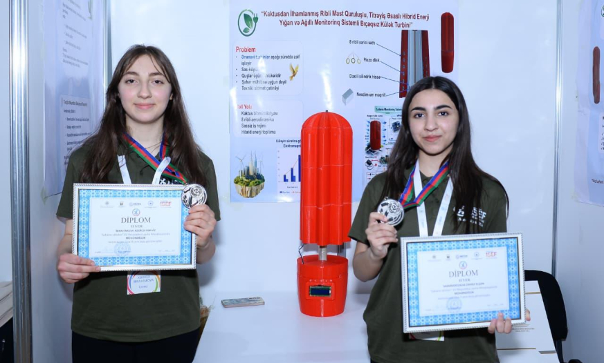 Kaktusa bənzər külək turbini yaradıb enerji topladılar