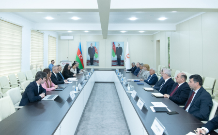 BMU ilə 4SİM arasında gələcək əməkdaşlıq imkanları müzakirə olunub