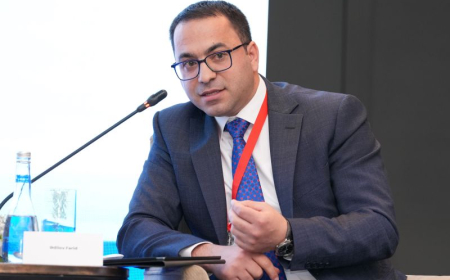 Azərbaycanlı doktorant BMT-nin Uşaq Hüquqları Komitəsinə namizəd göstərilib