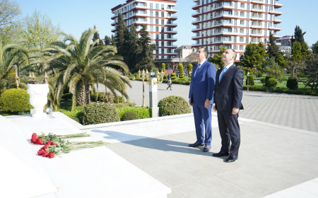 Nazir müavini Kənan Kərimzadə Lənkəranda olub