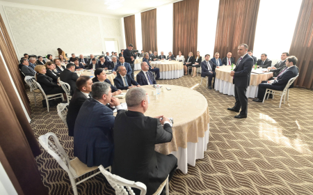 Kənan Kərimzadə Lənkəran-Astara regionunun məktəb direktorları ilə görüşüb