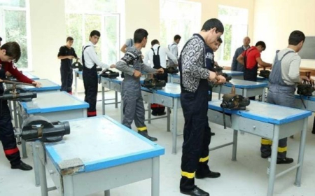 Azərbaycanda peşə təhsilində yaş müxtəlifliyi: 13-dən 78 yaşa qədər