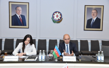 Nazir Şimali Kipr Türk Respublikasının Baş naziri ilə görüşüb 