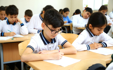 Müasir mədəniyyət modeli və təhsildə təhsil mədəniyyətinin formalaşdırılması 