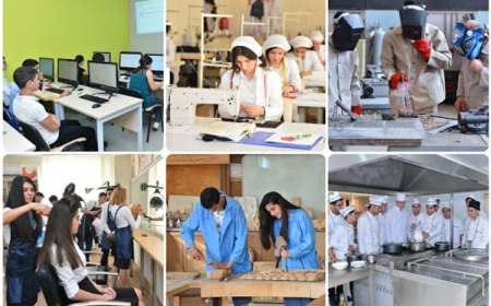 Universitetsiz də uğur mümkündür: Peşə təhsili ilə zirvəyə yüksələnlər