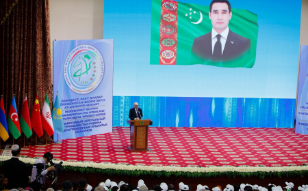 Firudin Qurbanov Beynəlxalq Riyaziyyat Olimpiadasının açılışında iştirak edib 