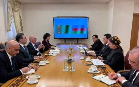 Firudin Qurbanov Türkmənistanın təhsil nazirinin müavinləri ilə görüşüb 