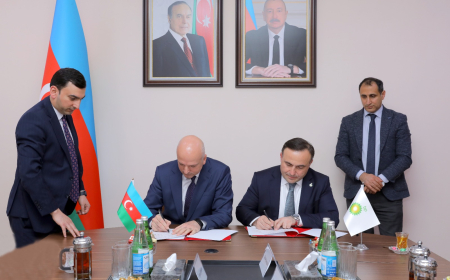 Naxçıvan Təhsil Nazirliyi ilə bp arasında əməkdaşlıq sazişi imzalanıb 