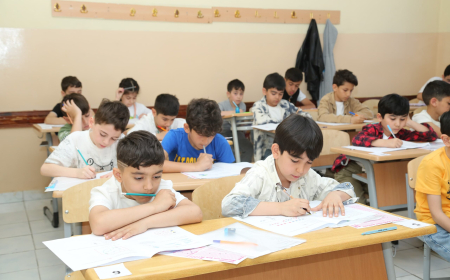 Kenquru Beynəlxalq Riyaziyyat Müsabiqəsinin birinci mərhələsi başa çatıb