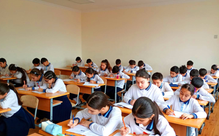 Naxçıvanın 127 şagirdi RFM-in yarımfinalında iştirak edəcək 