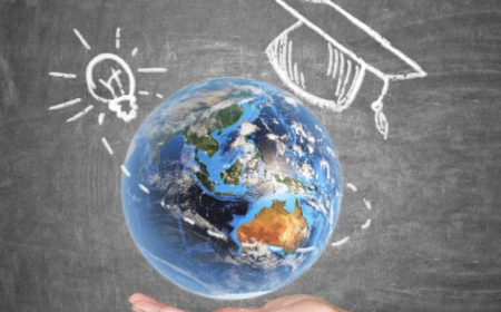 DP iştirakçıları üçün ödənişlər necə həyata keçirilir?  