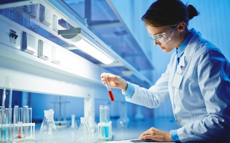 Yaponiyada tədqiqatlar üçün təqaüd proqramı elan edilib 