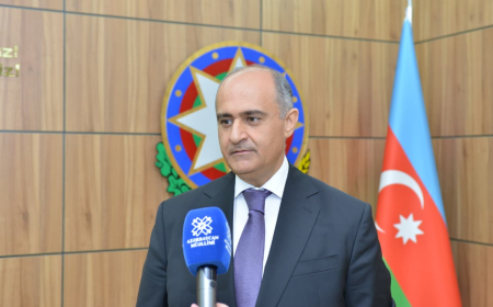 Rektor: İnklüziv təhsil ali məktəblərin qarşısına ciddi vəzifələr qoyur