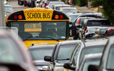 Məktəb avtobusları niyə sarıdır?