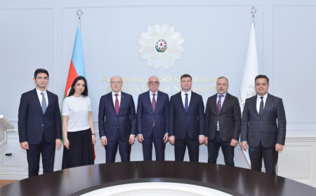 Nazir müavini Sankt-Peterburq Dövlət Universitetinin prorektoru ilə görüşüb 