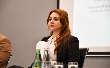 Dilbər İskəndərova: “Qayıdış hüququ sülhün şərtidir, nəticəsi deyil”