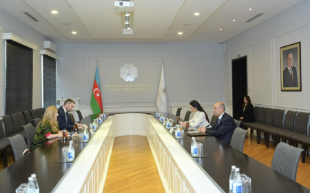 Nazir Yunanıstanın ölkəmizdəki fövqəladə və səlahiyyətli səfiri ilə görüşüb 