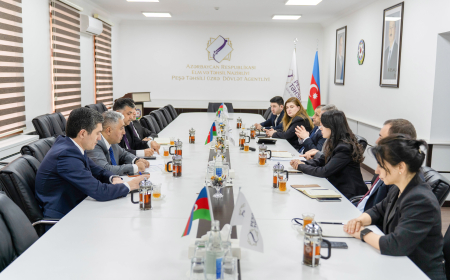 Peşə məzunlarına məşğulluq dəstəyi gücləndirilir 