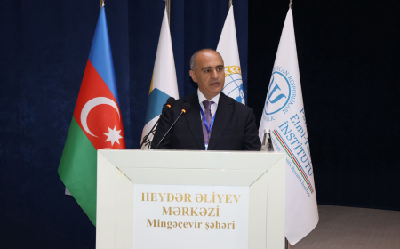 Rektor: İnklüziv təhsil praktik mexanizmlərin inteqrasiyasını zəruri edir 