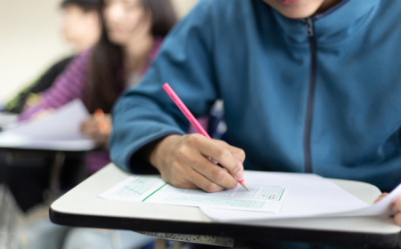 Mil-Muğan regionunda 359 şagird 200-dən çox bal toplayıb 