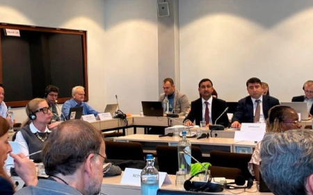 Araz Paşayevin rəhbərlik etdiyi nümayəndə heyəti Brüsseldə iclasda iştirak edib