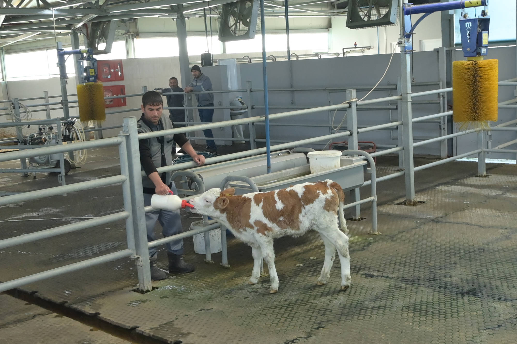 Cəlilabad Dövlət Peşə Təhsil Mərkəzinə infotur təşkil olunub