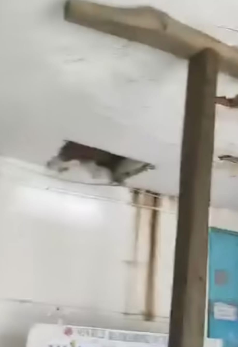 Xaçmazda təmirə ehtiyacı olan məktəblə bağlı