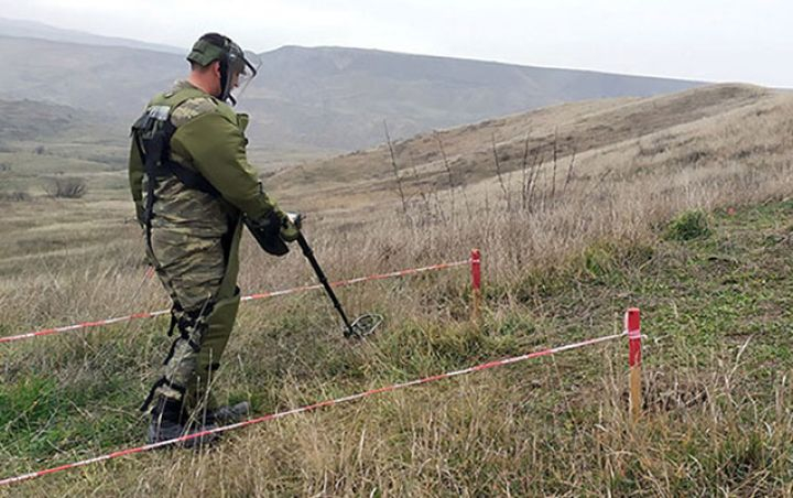 Minatəmizləyənlərin övladlarının təhsil haqlarını dövlət ödəyəcək