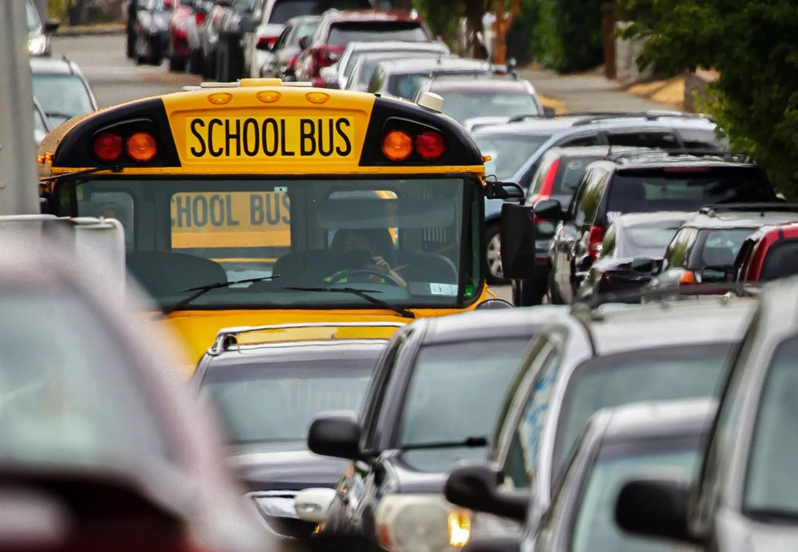 Məktəb avtobusları niyə sarıdır?