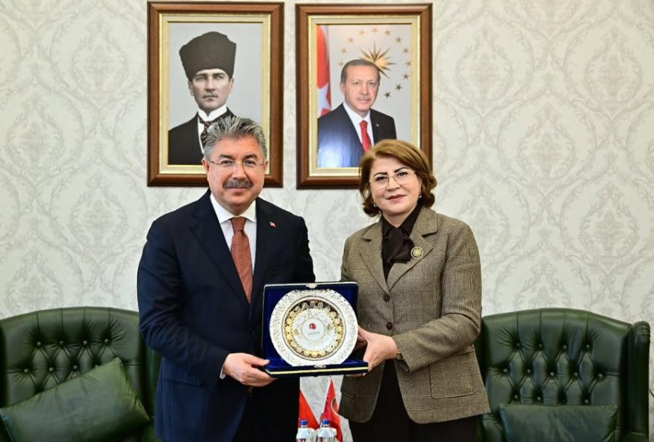 Türkiyə ilə Azərbaycan arasında təhsil sahəsində əlaqələr dərinləşdirilir