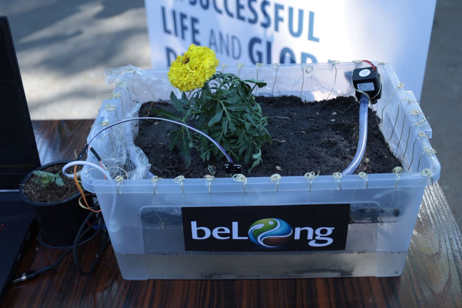 ATU-da innovasiyanın zirvəsi: “GreenTech III” regionun ən böyük startap yarışına çevrildi