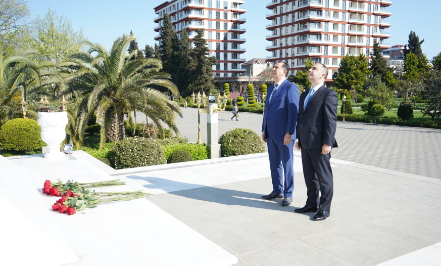 Nazir müavini Kənan Kərimzadə Lənkəranda olub