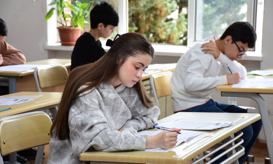 Sınaq imtahanında suallar hansı mövzulardan olacaq?