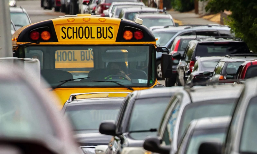 Məktəb avtobusları niyə sarıdır?