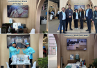 Dronlardan suvarma, yağışdan təmiz su: WUF13-də region universitetlərinin diqqətçəkən layihələri 