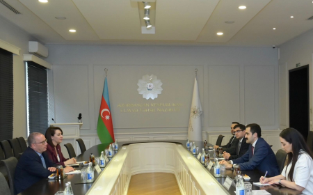 Nazir müavini Vorvik Universitetinin dekan müavini ilə görüşüb 