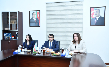 ADNSU və AZAL arasında əməkdaşlıq genişlənir