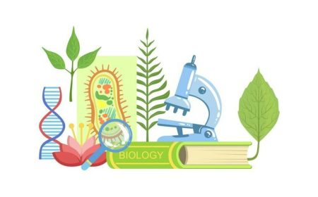 Beynəlxalq Biologiya Olimpiadasına seçim imtahanı keçiriləcək