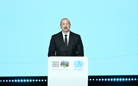 Azərbaycan Prezidenti: Hazırda hökumətin qarşısında duran vəzifələrdən biri Qarabağın və Şərqi Zəngəzurun yenidən qurulmasıdır