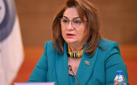 Qarabağdakı yenidənqurma işləri dünyaya təqdim etdiyimiz yeni "yol xəritəsidir - Komitə sədri