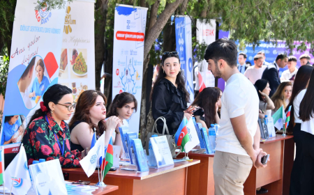 Vakansiyalar ayağına gəldi, gənclər seçim etdi - SDU-dan REPORTAJ