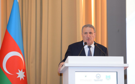 İsa Həbibbəyli: Dilimizi qorumaq üçün qarşılığı olan terminlərdən istifadə etməliyik 